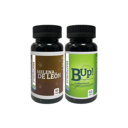 Melena de León   +   B Up!